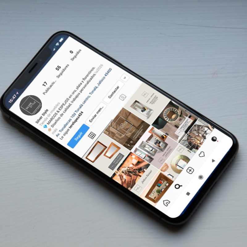 desarrollo marketing digital México