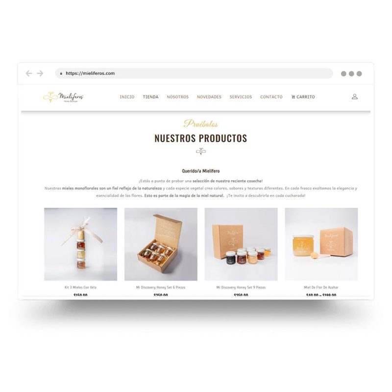 Diseño de tienda en línea (ecommerce) para la venta de productos orgánicos: miel